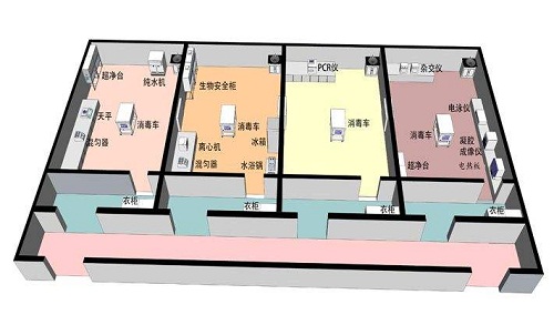 pcr實驗室建設標準及規(guī)范